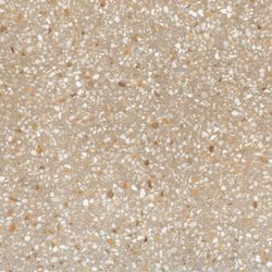 1862 Palazzo Rectifié 100x100 Café