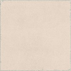 188471 Corail de Valence 20x20