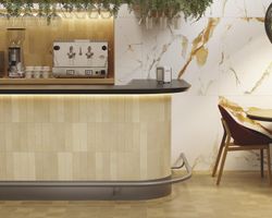 188550 Agadir Cotto Clair Mat 7x28