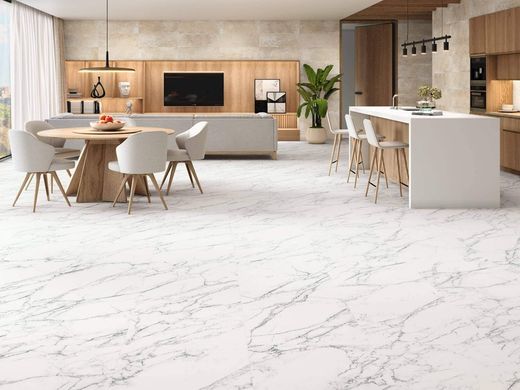 6641 Blanc 64X147,5 rectifié