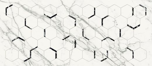 6641 Décor Blanc 64X147,5 rectifié