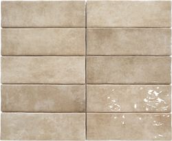 Fossile d'Alfar 6,5x20