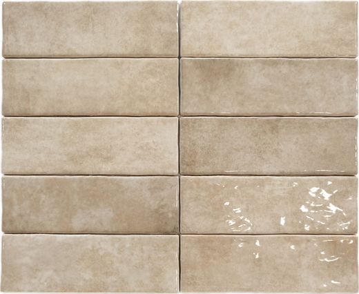 Fossile d'Alfar 6,5x20