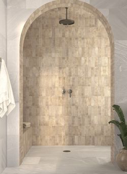 Fossile d'Alfar 6,5x20