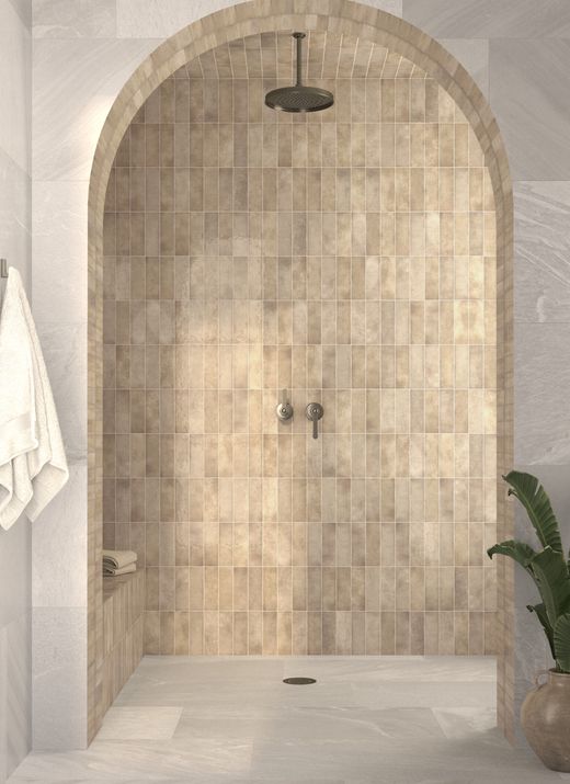 Fossile d'Alfar 6,5x20