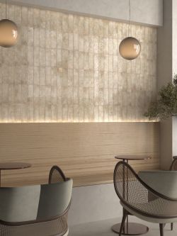 Fossile d'Alfar 6,5x20