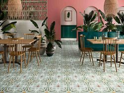 Olivier naturel Altea 59,2x59,2