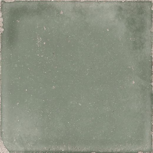 Atlantique Olive 20x20