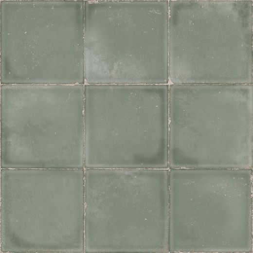 Atlantique Olive 20x20