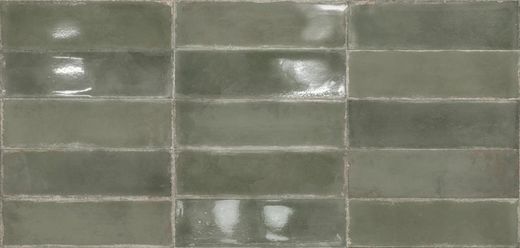 Atlantique Olive 6,9x24