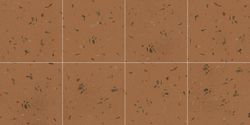Fragmenta Terracotta 20x20