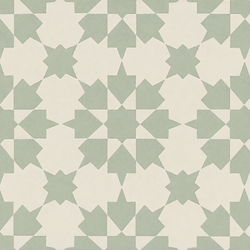 Infusion Ornelas 20x20