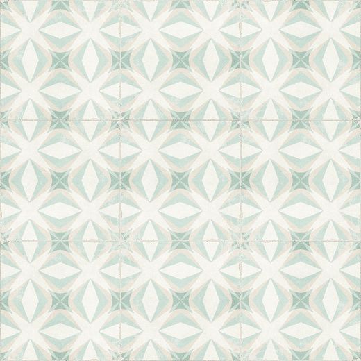 188474 - Valência - Palmar 20x20