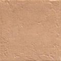 Canem Season 20x20 cm