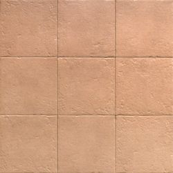 Canem Season 20x20 cm