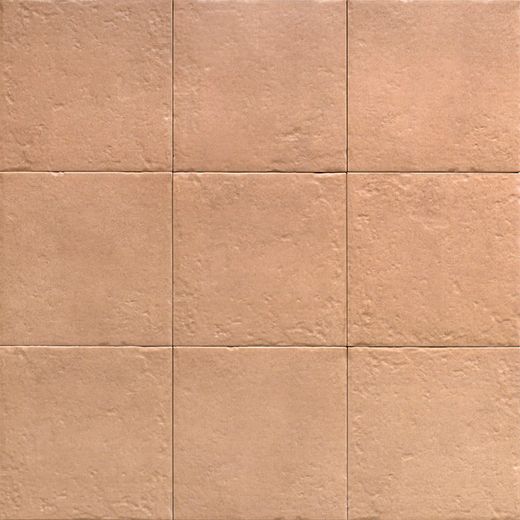 Canem Season 20x20 cm