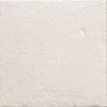 White Season 20x20