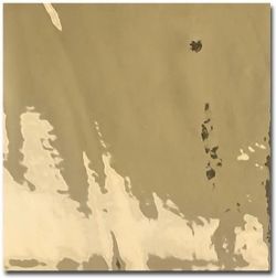 Tabarca Gold Glossy 15x15