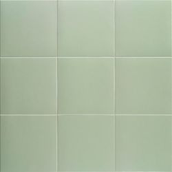 Technical Basil 20x20