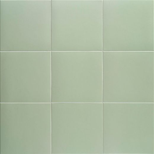 Technical Basil 20x20