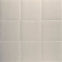 Technical Koala 20x20