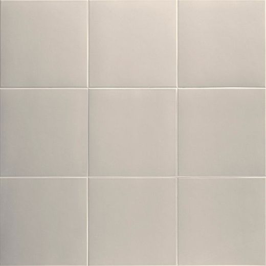 Technical Koala 20x20