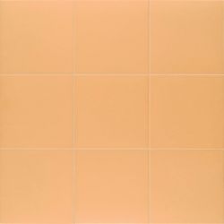 Technical Tangerine 20x20