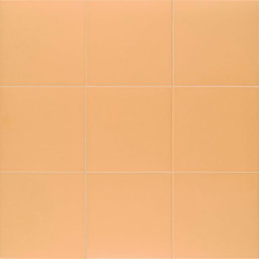 Technical Tangerine 20x20