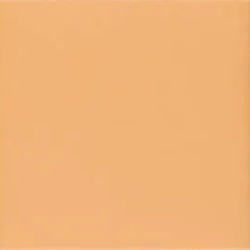 Technical Tangerine 20x20