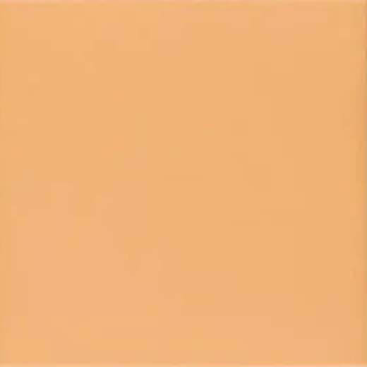 Technical Tangerine 20x20