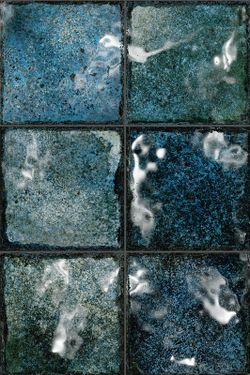 Água Marinha Tropica 14,7x14,7 cm Int